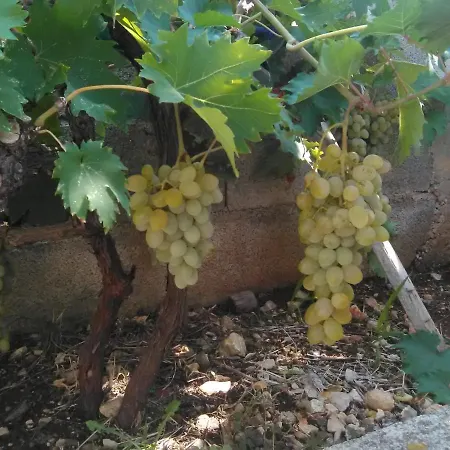 With A Parking Space - Torovi - - Pedinka, - 294 Appartamento
